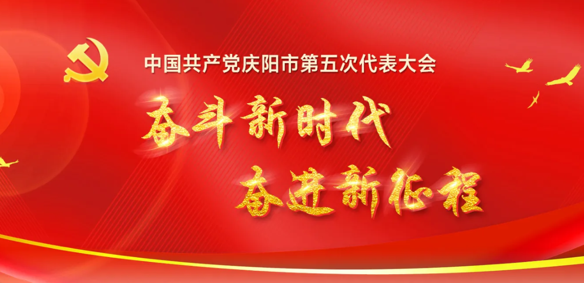 【聚焦黨代會 奮進新征程】一分鐘帶你了解黨代會