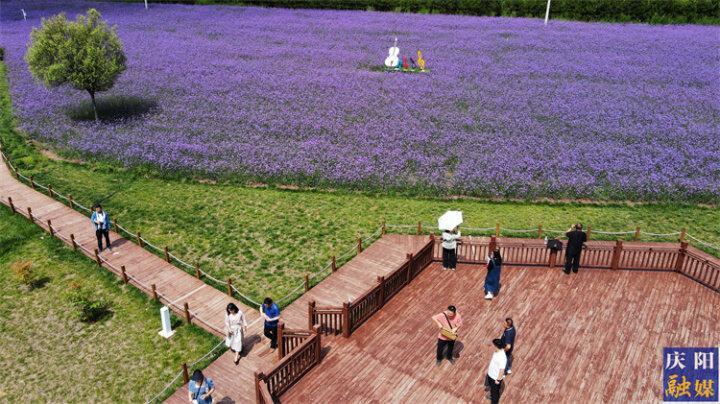 【攝影報道】花溪谷景區(qū)目前客流量已達(dá)5萬多人  旅游綜合收入達(dá)130多萬元