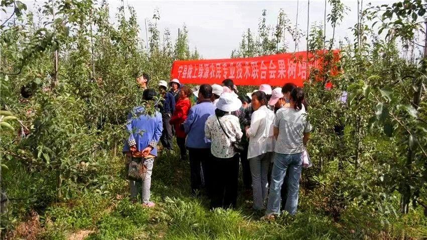 科普之花遍地開 引領(lǐng)群眾同致富——寧縣隴上綠源農(nóng)民專業(yè)技術(shù)聯(lián)合會充分發(fā)揮科技助農(nóng)作用