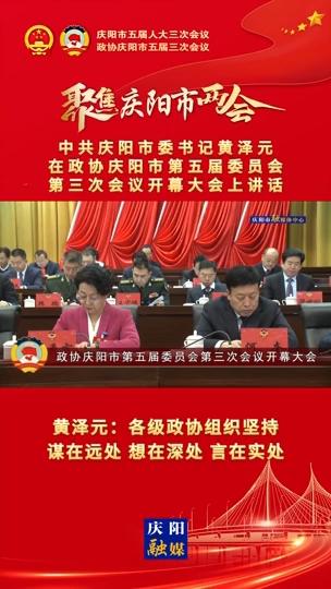 【兩會V視】黃澤元：各級政協(xié)組織堅持謀在遠處,、想在深處、言在實處