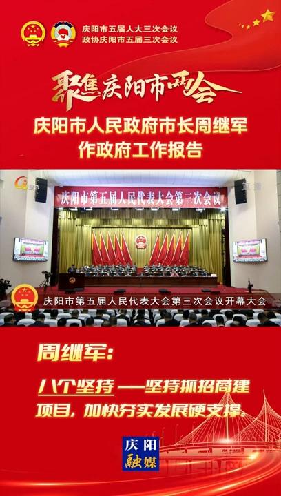 【兩會V視】周繼軍：堅持抓招商建項目 加快夯實發(fā)展硬支撐