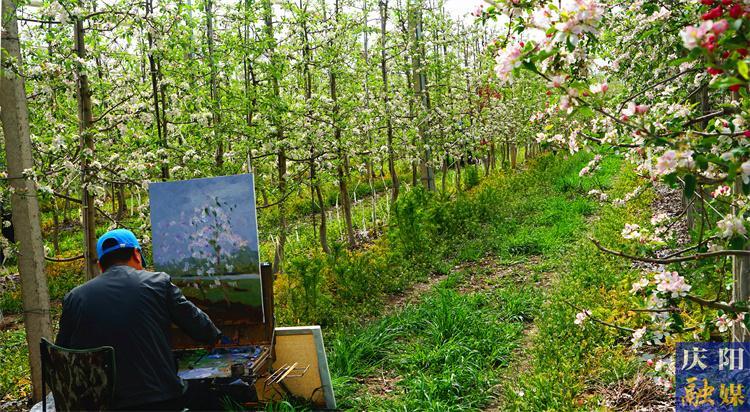 慶陽市完成早春開花類作物承保18多萬畝