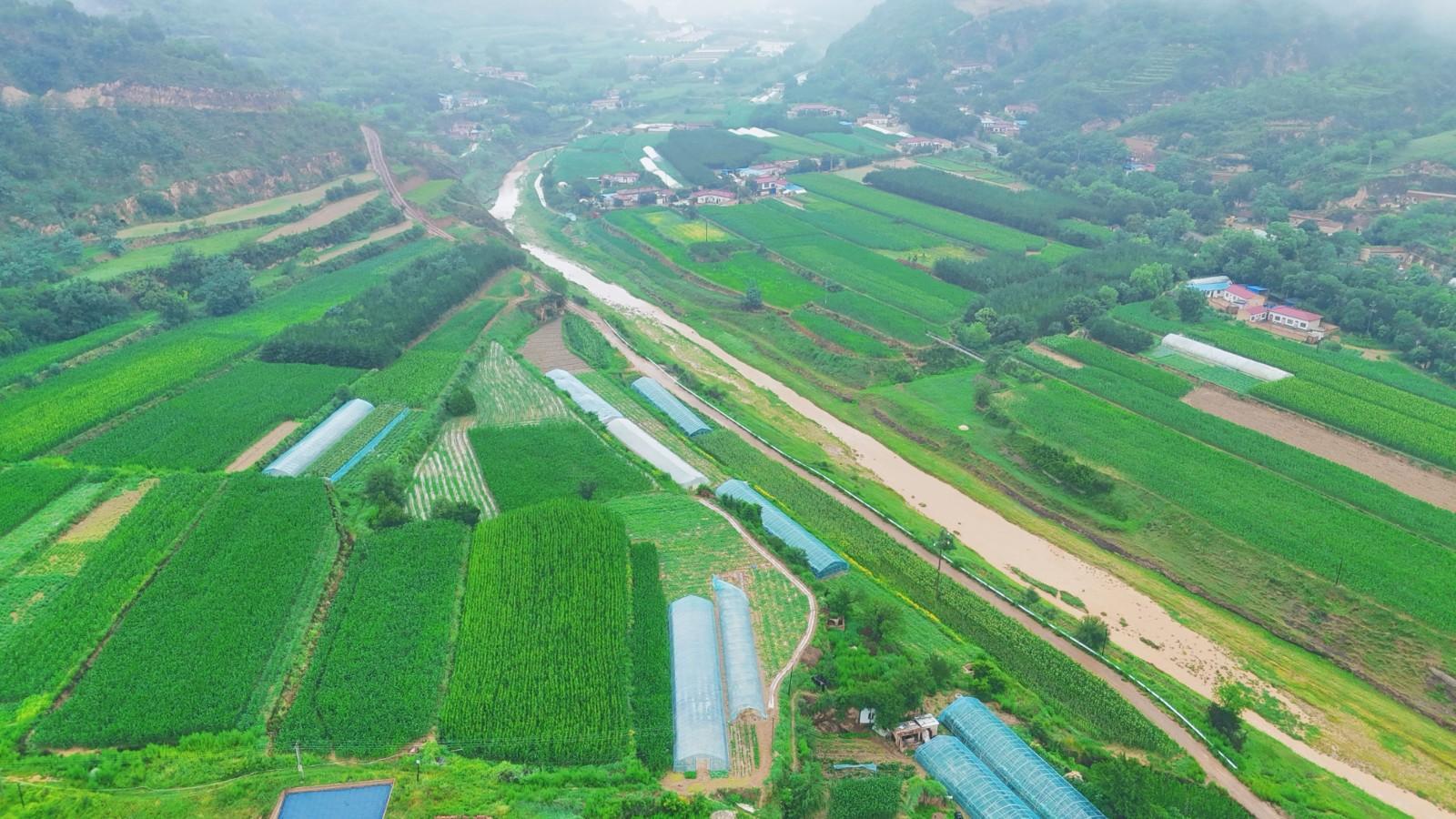 華池縣悅樂鎮(zhèn)：黨建引領村集體經(jīng)濟一路繁花盛開