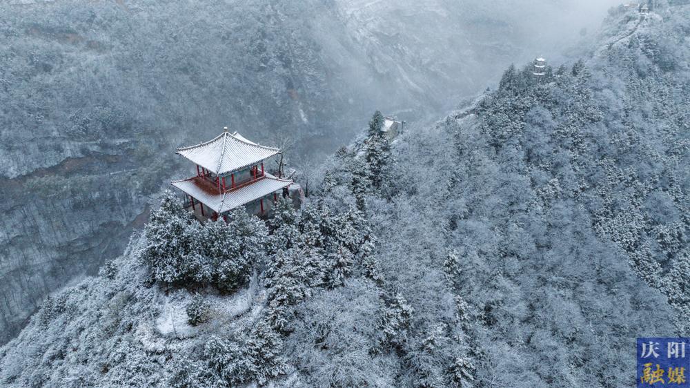 【視覺慶陽(yáng)】今冬初雪美 霜葉瓊花飛