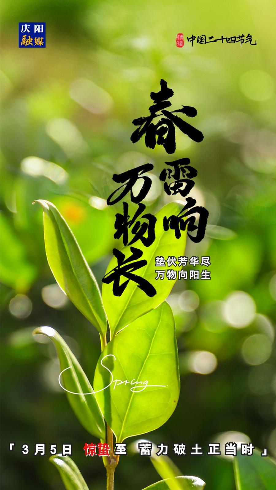 【微海報】二十四節(jié)氣丨驚蟄至,，蓄力破土正當(dāng)時