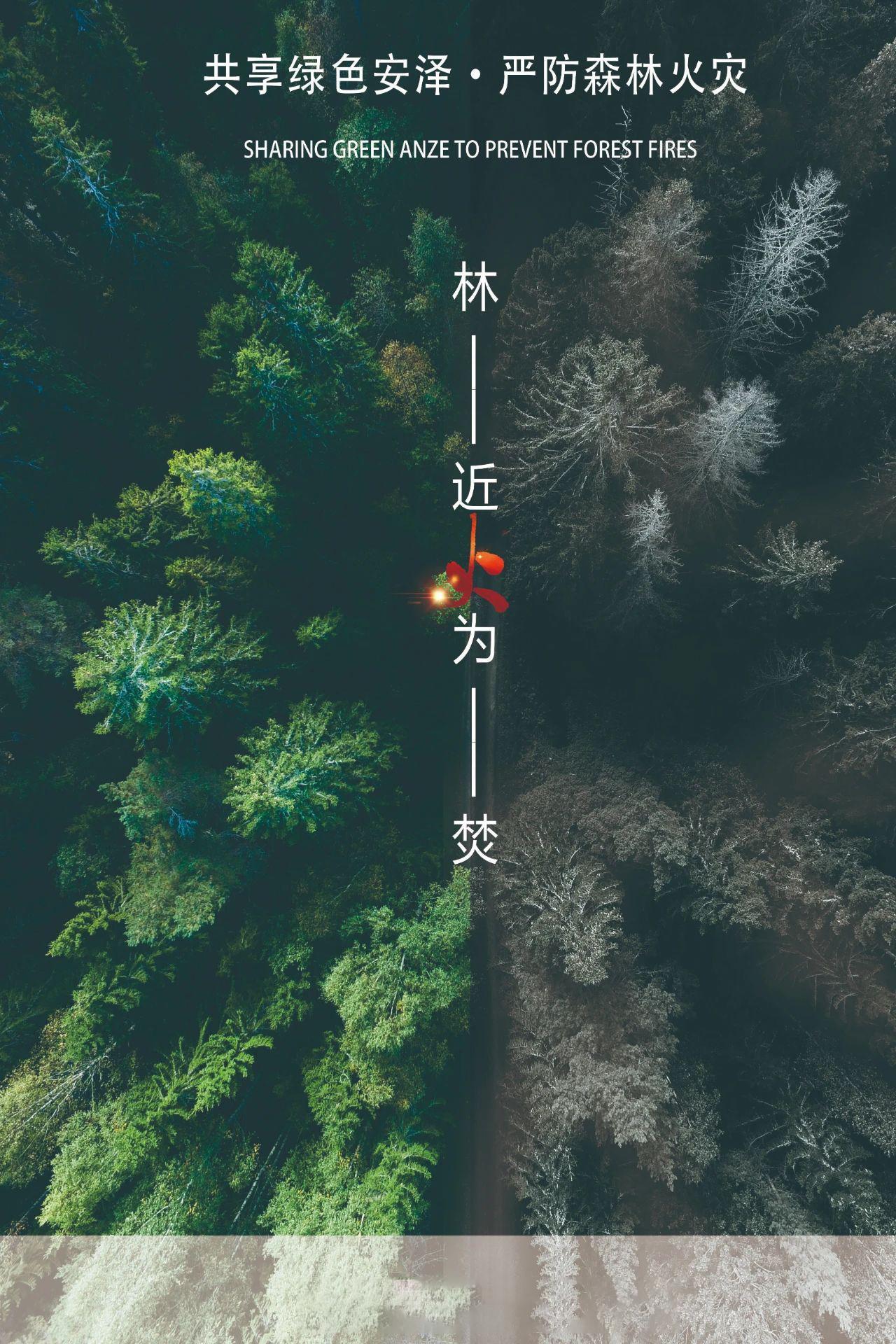 共享綠色安澤·嚴防森林火災