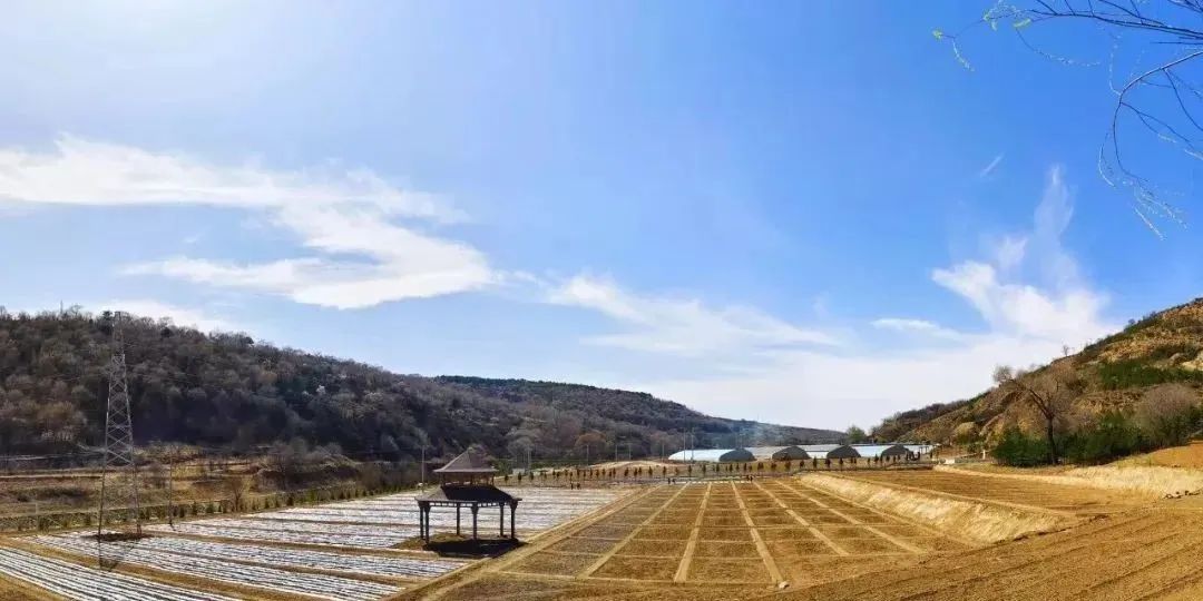 華池縣南梁鎮(zhèn)全力開(kāi)展人居環(huán)境整治助力低空賽道油田挑戰(zhàn)賽