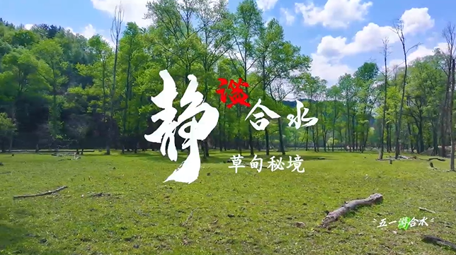 【五一游慶陽(yáng)】靜謐合水︱合水縣太莪鄉(xiāng)草甸秘境等你來(lái)打卡！