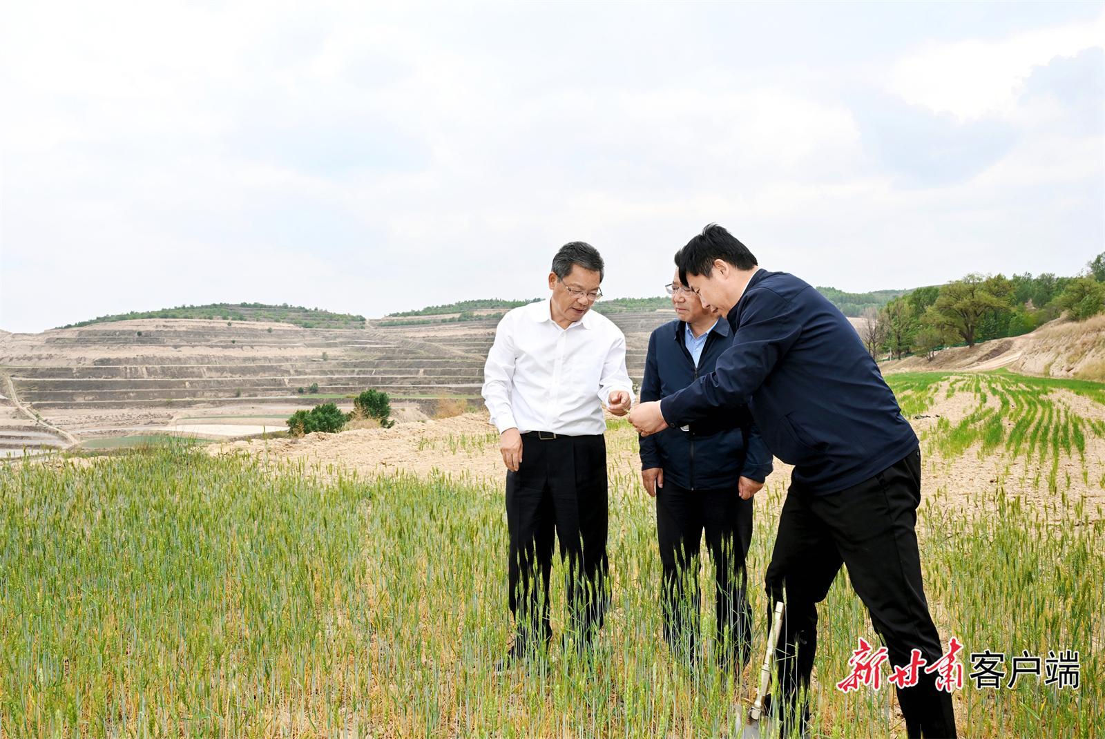 任振鶴在會寧縣靜寧縣調(diào)研抗旱減災(zāi)和群眾身邊不正之風和腐敗問題集中整治工作時強調(diào) 打好抗旱減災(zāi)主動仗 用心辦好實事惠民生 不斷加固高質(zhì)量發(fā)展的底板